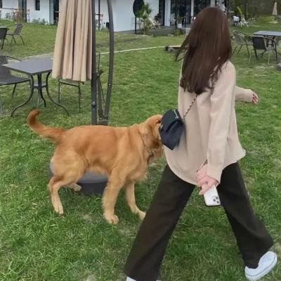 外姓兄弟